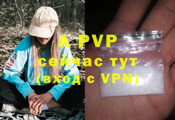 соль ск Верхний Тагил