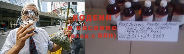 бошки Бородино