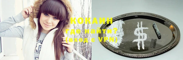 бошки Бородино